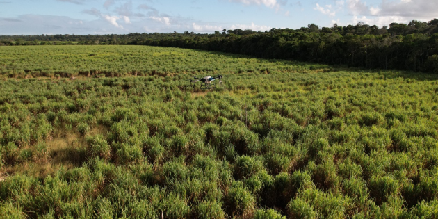 Drone sobrevoando campo