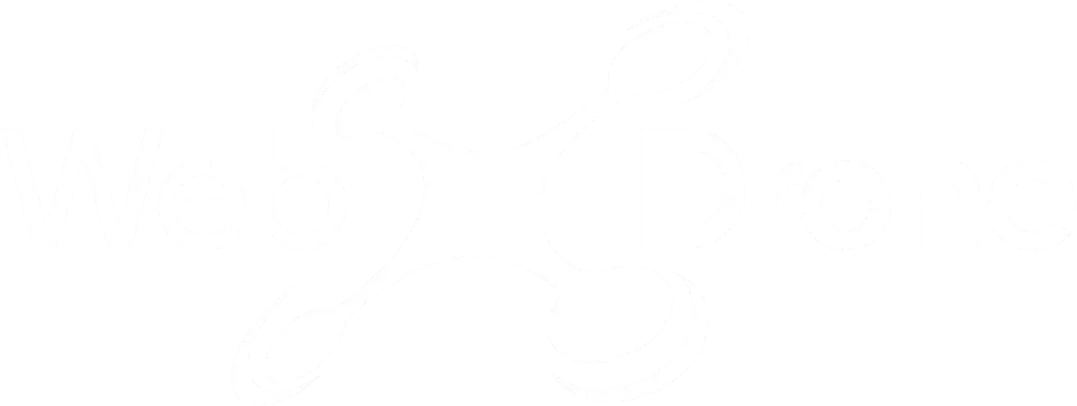 Logo Web Drone